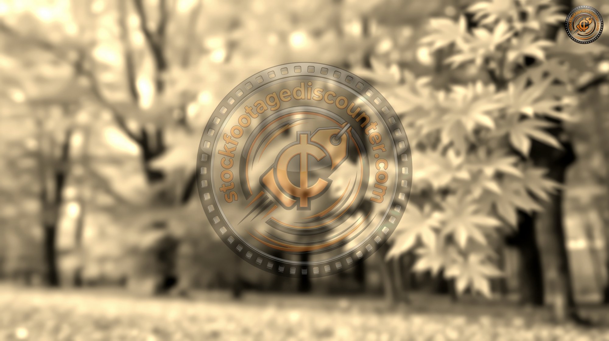 1081075257 Gigapixel Standard 6x Sepia