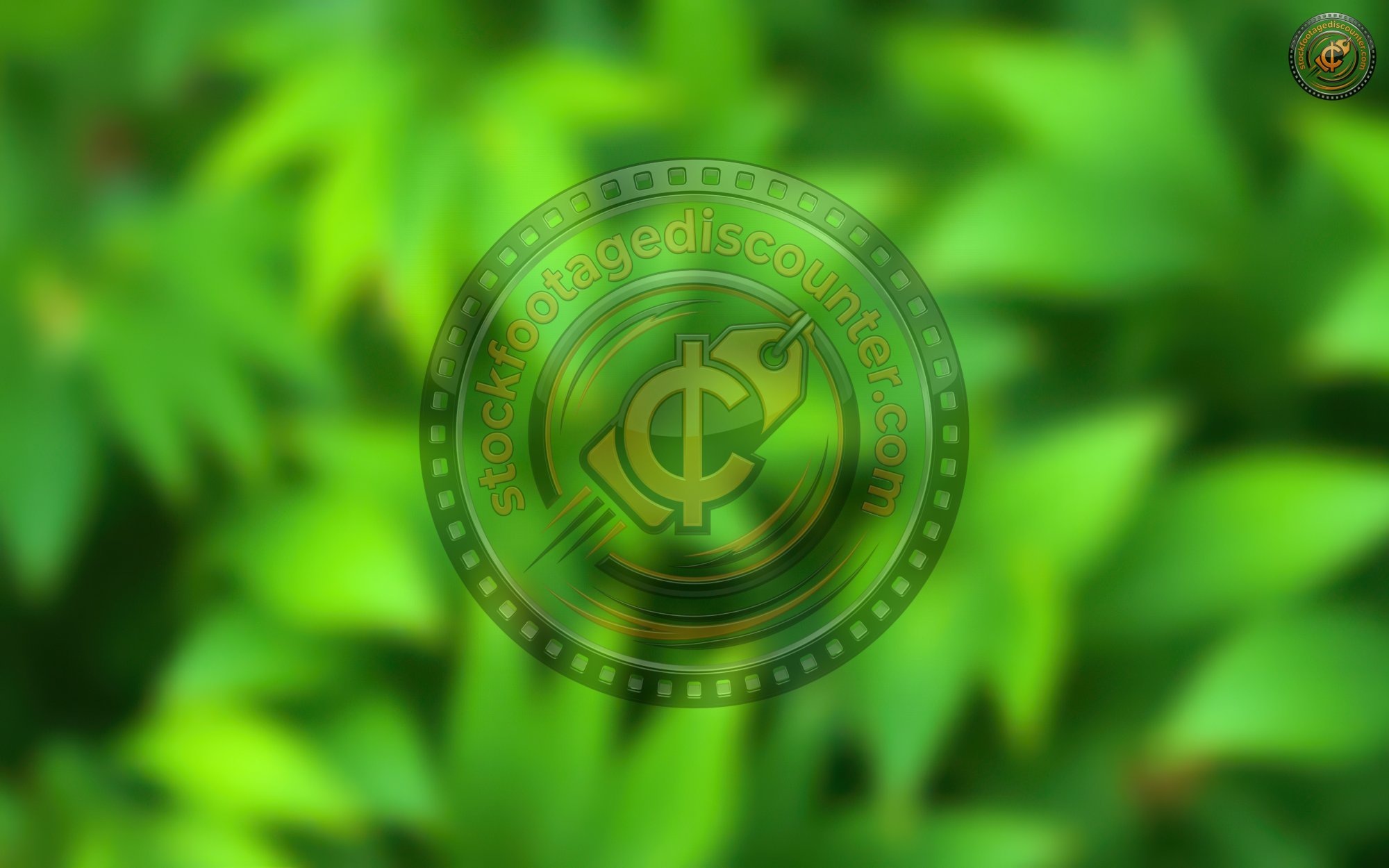 Lush green foliage creates a vibrant backdrop in a tranquil outdoor setting during a sunny day in spring