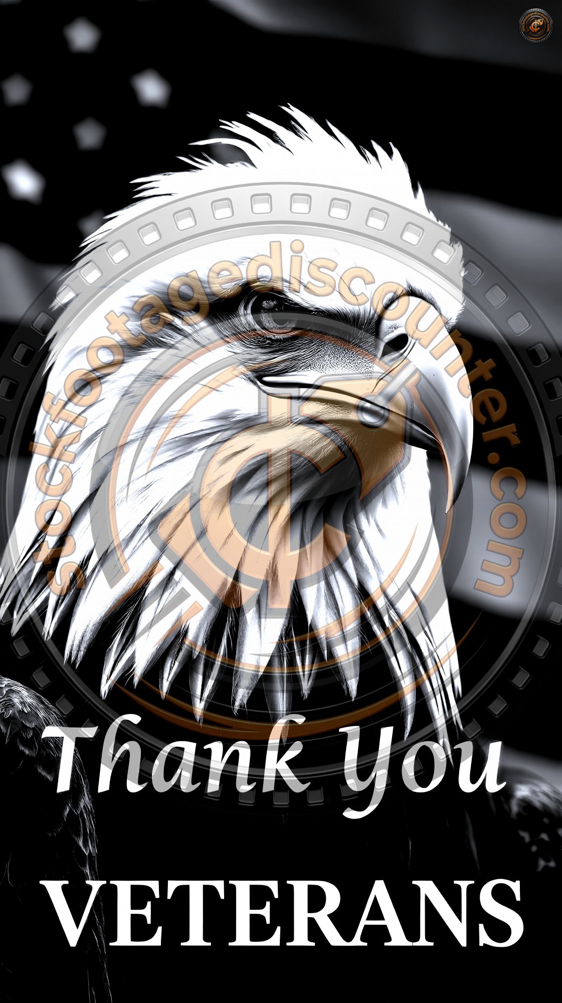 327218372 Gigapixel Standard 6x Silver