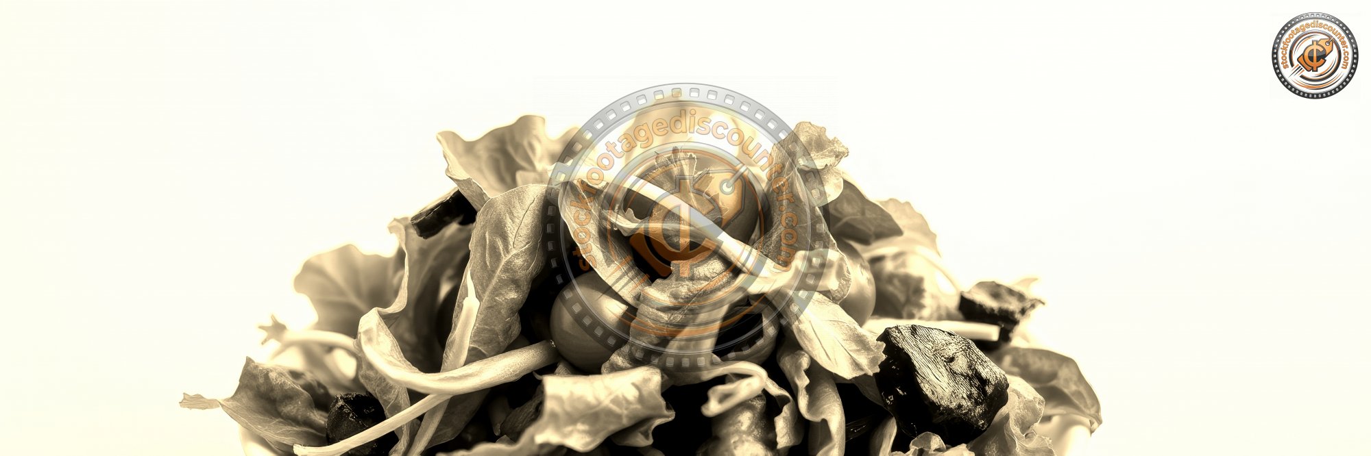 2578305107 Gigapixel Standard 6x Sepia