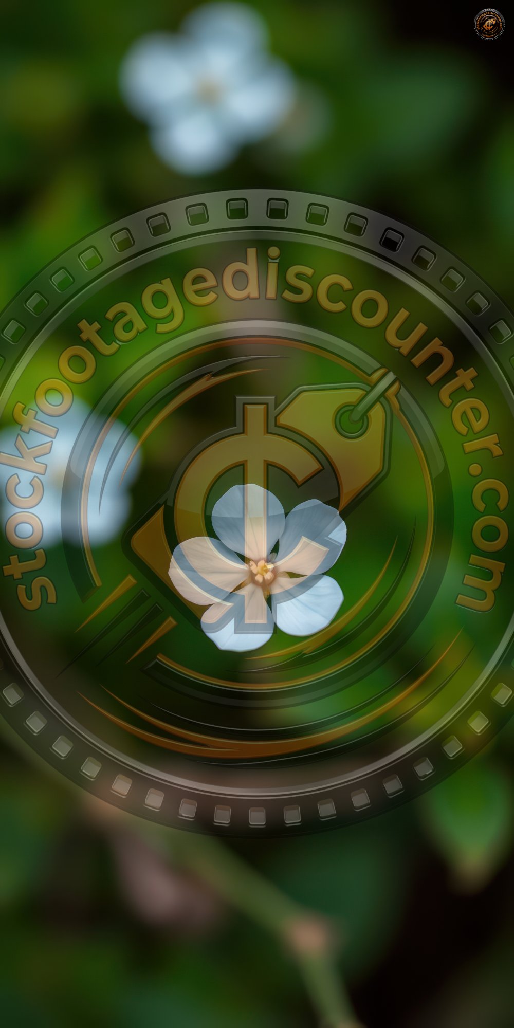 2829075368 Gigapixel Standard 6x