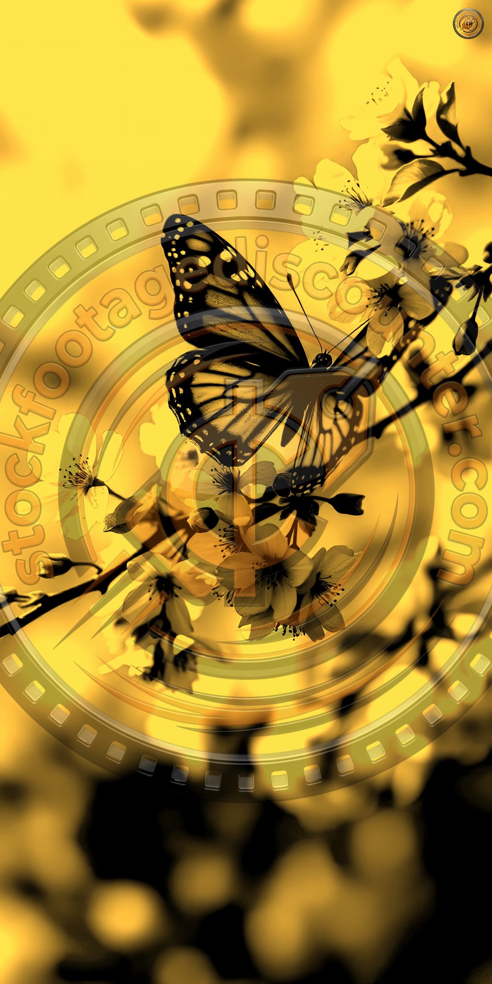 2289191756 Gigapixel Standard 6x Gold