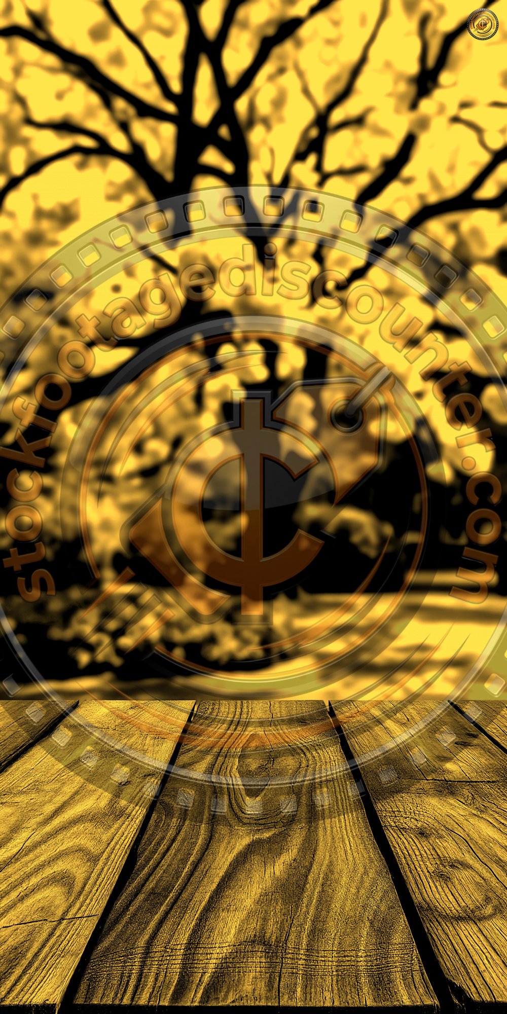 4244800068 Gigapixel Standard 6x Gold