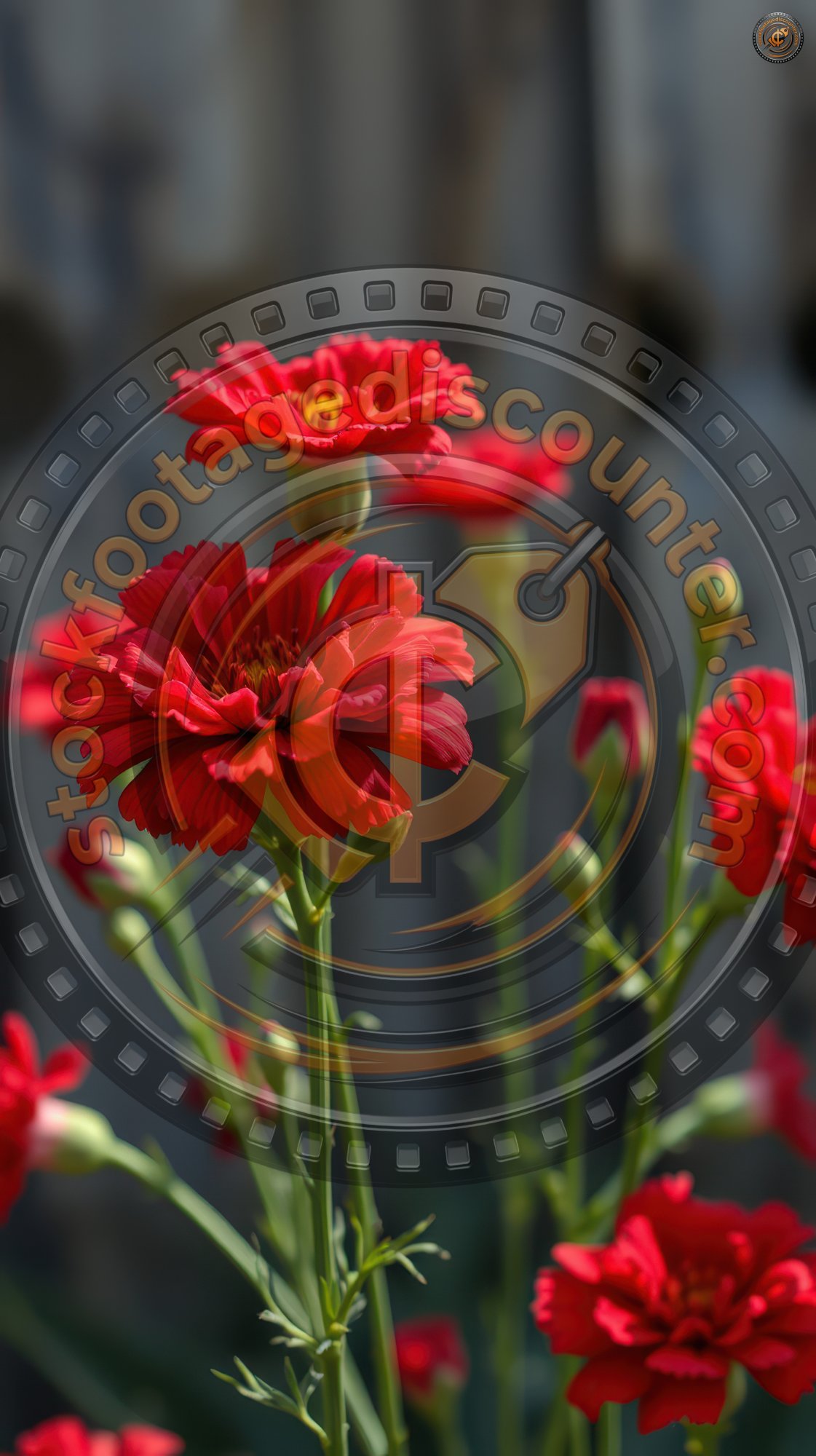 3758658545 Gigapixel Standard 6x