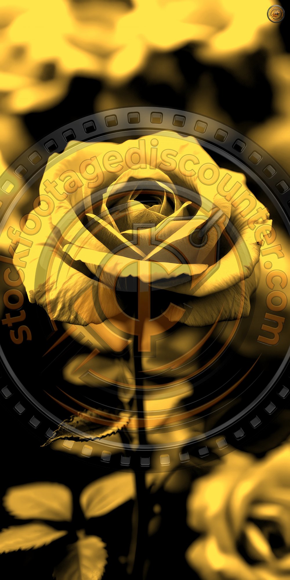 1992030755 Gigapixel Standard 6x Gold