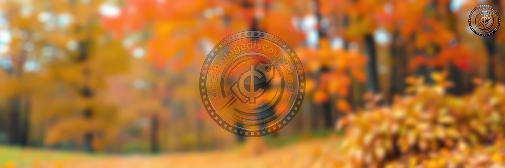 248648941 Gigapixel Standard 6x