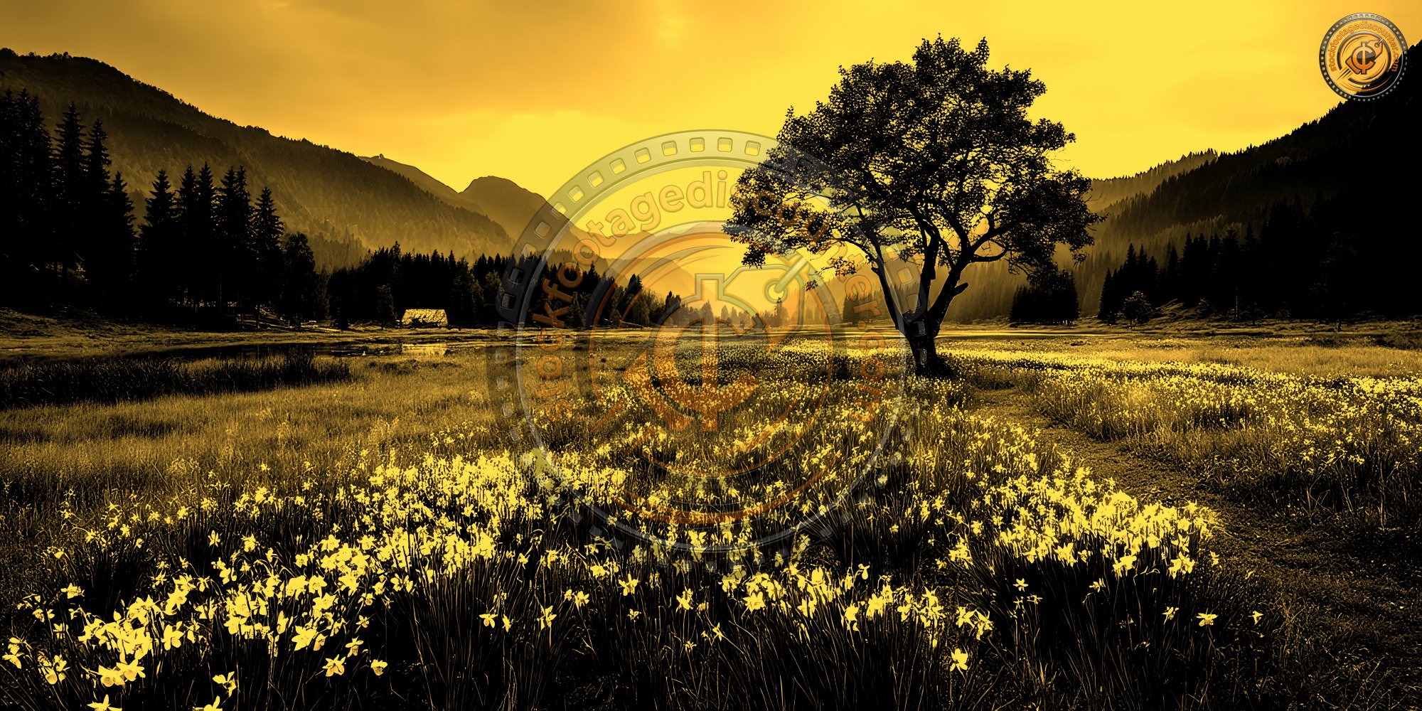 Amazing Nature Landscape With Single Tree And Flo 03c17ea9 Cd78 4217 Be8a 1fbe254eb555 1 Gigapixel Standard 6x Gold