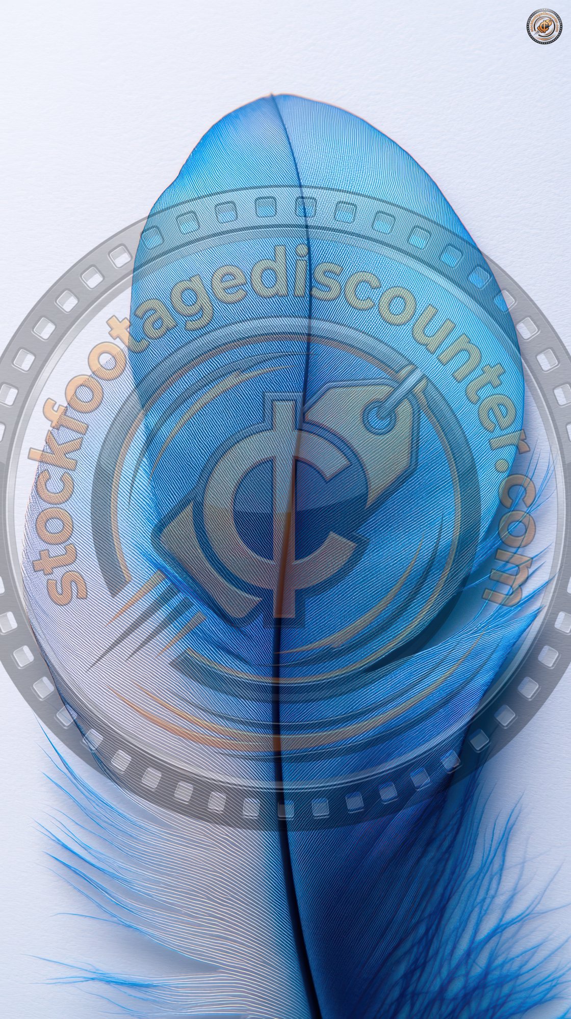 Beautiful Abstract Blue Feathers On White Backgroun 5e030407 Db67 4968 Bf9a 98084e21166d 3 Gigapixel Standard 6x