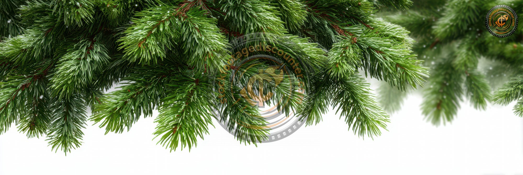 Christmas Tree Branches Isolated On White Backgroun B1bd6d37 15ac 444f 9e1b 87b0cce0b1e4 3 Gigapixel Standard 6x