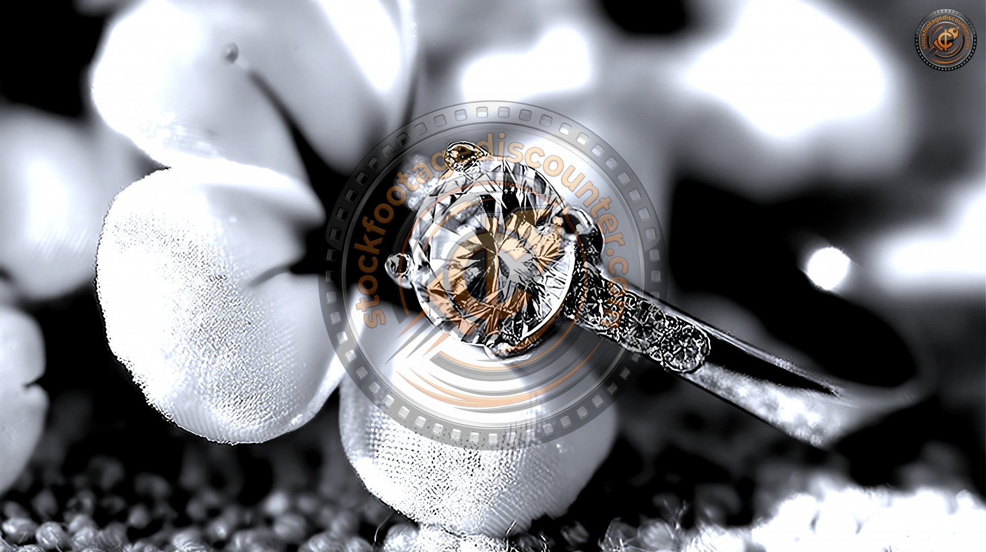 Close Up Of Diamond Ring With White Flower Sunlig 61e782e5 1b79 4be5 B21b Ca802358e7aa 0 Gigapixel Standard 6x Silver