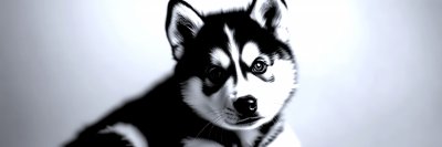 2500269067 Gigapixel Standard 6x Silver