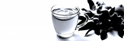 796722469 Gigapixel Standard 6x Silver