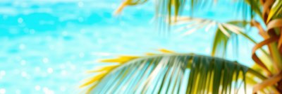 2156500236 Gigapixel Standard 6x