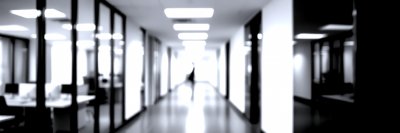 794993321 Gigapixel Standard 6x Silver