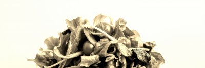 2578305107 Gigapixel Standard 6x Sepia