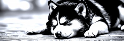 1516036143 Gigapixel Standard 6x Silver