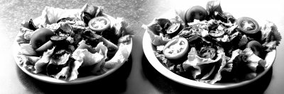 3045665198 Gigapixel Standard 6x Bw