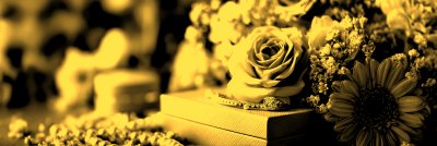 Fresh Flowers And Jewelry Gift Boxes. 1e9bcd43 Ab5f 48e9 Aa4a 983820fa0ba3 3 Gigapixel Standard 6x Gold