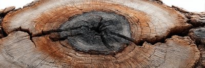 Large Circular Piece Of Wood Cross Se D7e230df A552 4a94 8cba C52b4311f2bc 2 Gigapixel Standard 6x