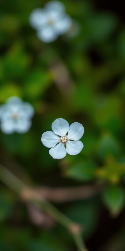 2829075368 Gigapixel Standard 6x