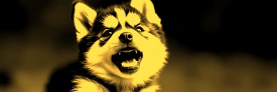 3253846372 Gigapixel Standard 6x Gold