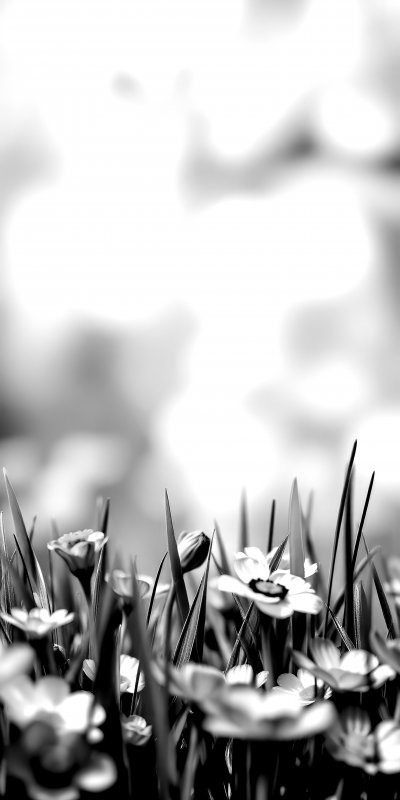 2753866272 Gigapixel Standard 6x Bw