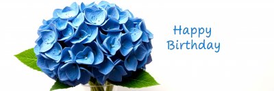 451313017 Gigapixel Standard 6x Stylut