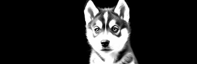 195622796 Gigapixel Standard 6x Bw