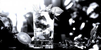 A Glass Of Virgin Mojito With Fresh Mint And Lime 969b7d9f 1201 4b19 92b3 42d8d5130774 2 Gigapixel Standard 6x Silver