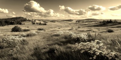 A Panoramic Vista Of A Green Meadow Filled With W D1f9457a 6e44 4b56 Bd02 9d05a8b80474 0 Gigapixel Standard 6x Sepia
