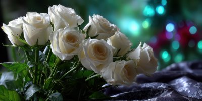 A Stylish Rose Bouquet Background White1. Thank Y 9d18b776 A4bf 4f07 B76f Fd461047e873 2 Gigapixel Standard 6x