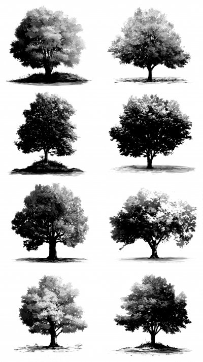 A Transparent Background Is Used For The Autumn C47d98ad D2c5 4d63 8b1a 8fa4e3d57d77 1 Gigapixel Standard 6x Bw