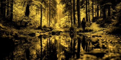 Autumn In The Forest. Forest Road Colorful Trees. 9ce2521c Fa46 4b0c 9d99 92268fe1db00 3 Gigapixel Standard 6x Gold