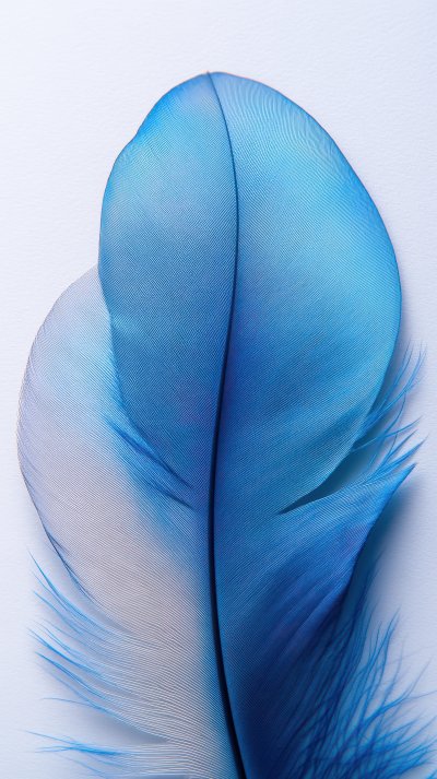 Beautiful Abstract Blue Feathers On White Backgroun 5e030407 Db67 4968 Bf9a 98084e21166d 3 Gigapixel Standard 6x