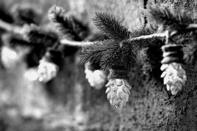 Christmas Tree Decor Lights Garland New Years Eve 985bd40b 8858 4098 89bc 26d18758ce2e 1 Gigapixel Standard 6x Bw