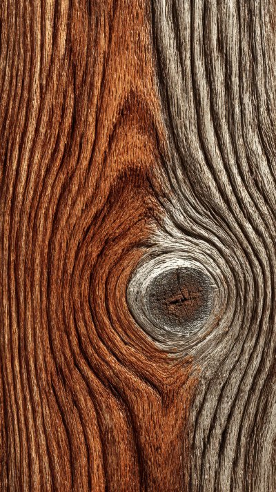 Close Up Shot Of Light Brown Wood Grain Texture. Wood D43dd3fc 68ec 4786 9548 7818f911a9ab 3 Gigapixel Standard 6x