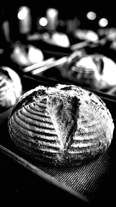 Raw Bread On Trays Before Baking In The Oven At The Ba 35c9eda6 9121 4934 Ad8a 56fed58f4ee9 1 Gigapixel Standard 6x Bw