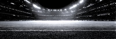 A Empty Soccerfield In A Stadion...... Empty Sta Caa70ba9 1741 4d57 8e00 Ee2dc91ea805 3 Gigapixel Standard 6x Silver