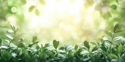 Easter Green Garden. Easter Ornament Background. 90fb6132 92a2 4d28 A7e6 2bdb0e57b4a0 3 Gigapixel Standard 6x