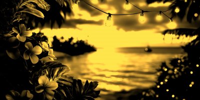 Night Summer Party Advertisment Background With C 4ee140bb Fec6 46c3 987a 6a0ae2196141 2 Gigapixel Standard 6x Gold