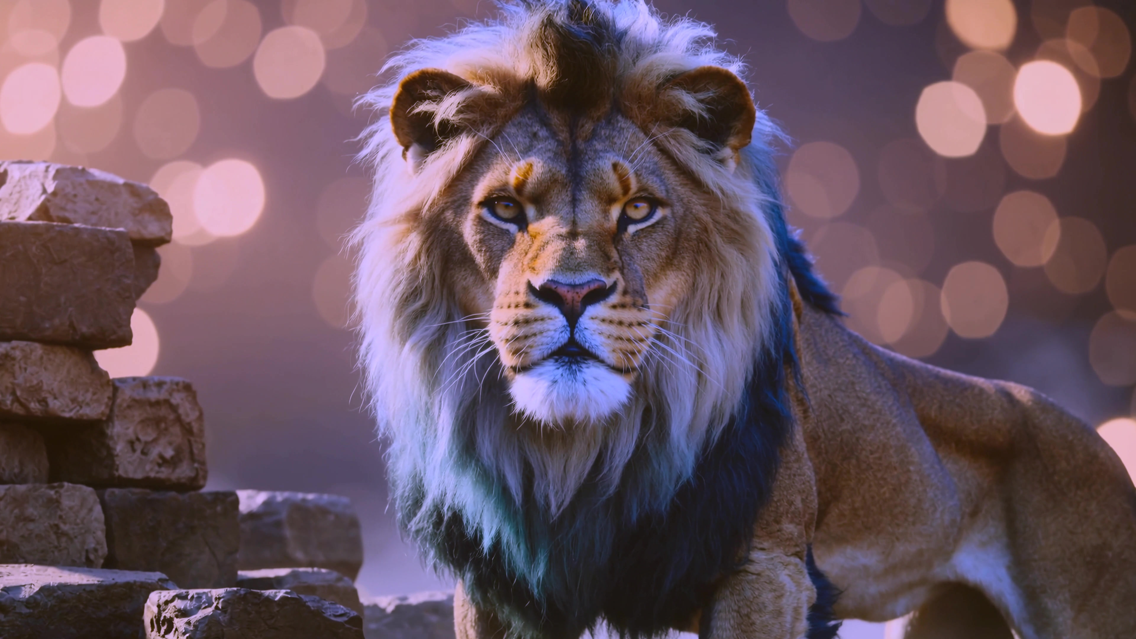 Lion stands in front of rocks with blurry lights in the background during a nighttime scene