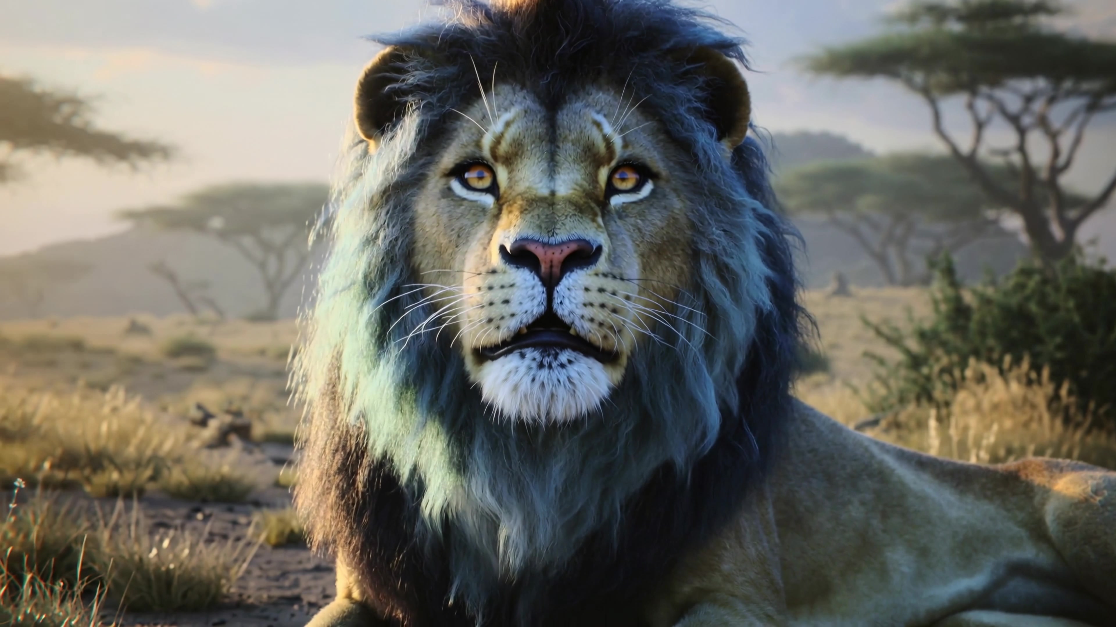 Lion resting in the African savanna during sunrise with trees in the background