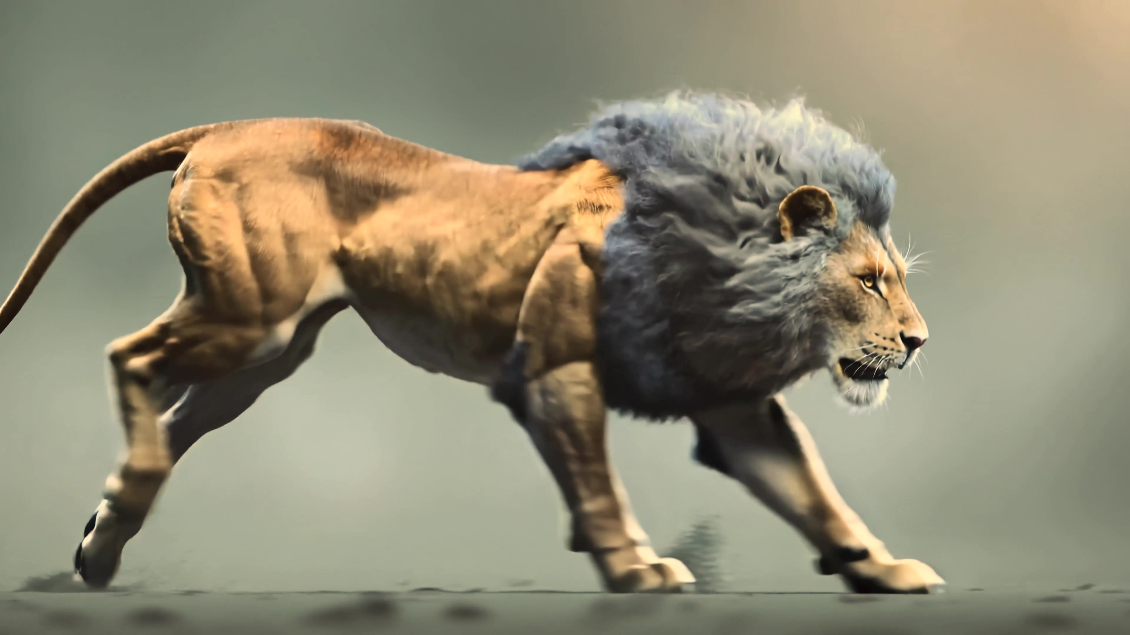 Lion moves across a dry landscape in an animated video showing its strength and grace during the late afternoon