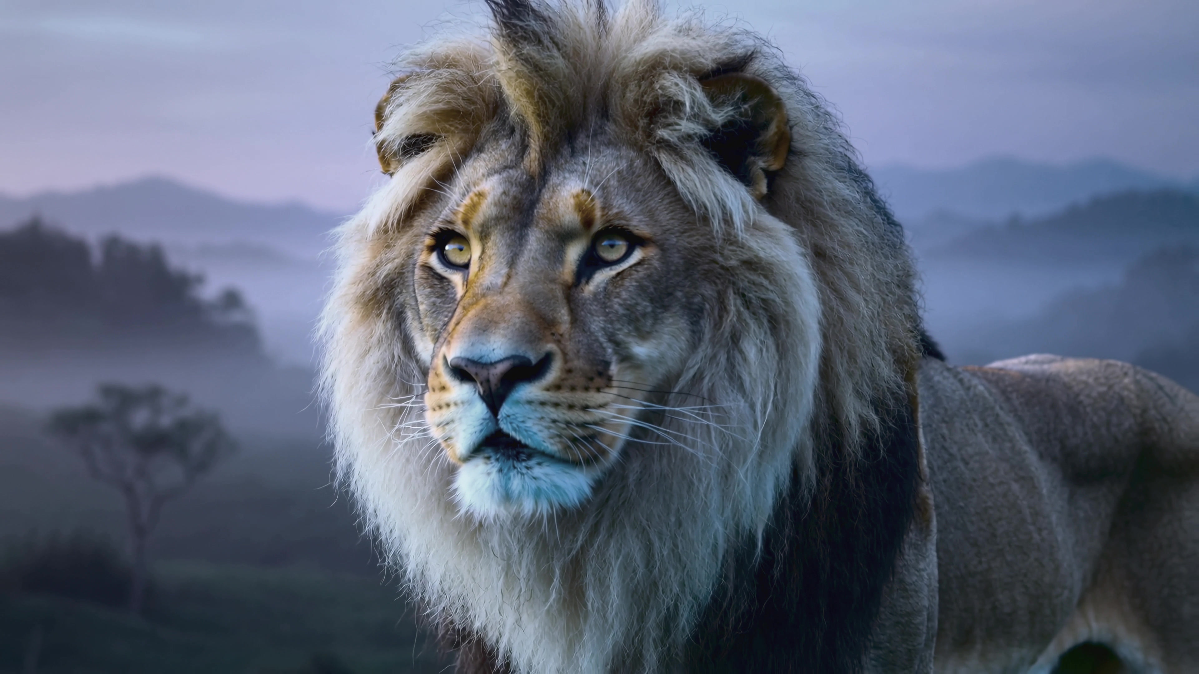 Majestic lion stands in the wild under evening light with a misty background and distant mountains
