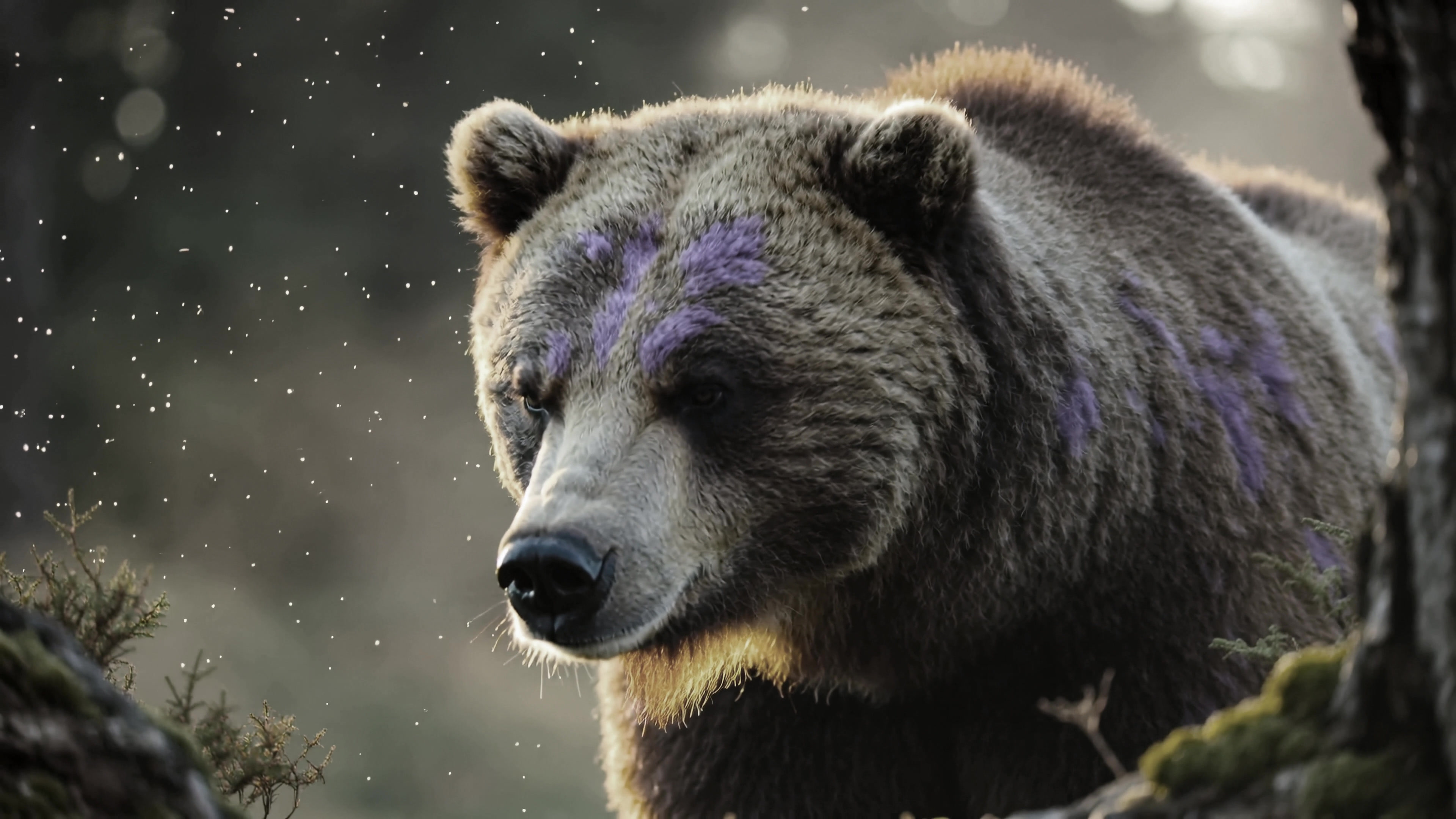 Grizzly bear walking through the forest while snow falls in the background during late afternoon