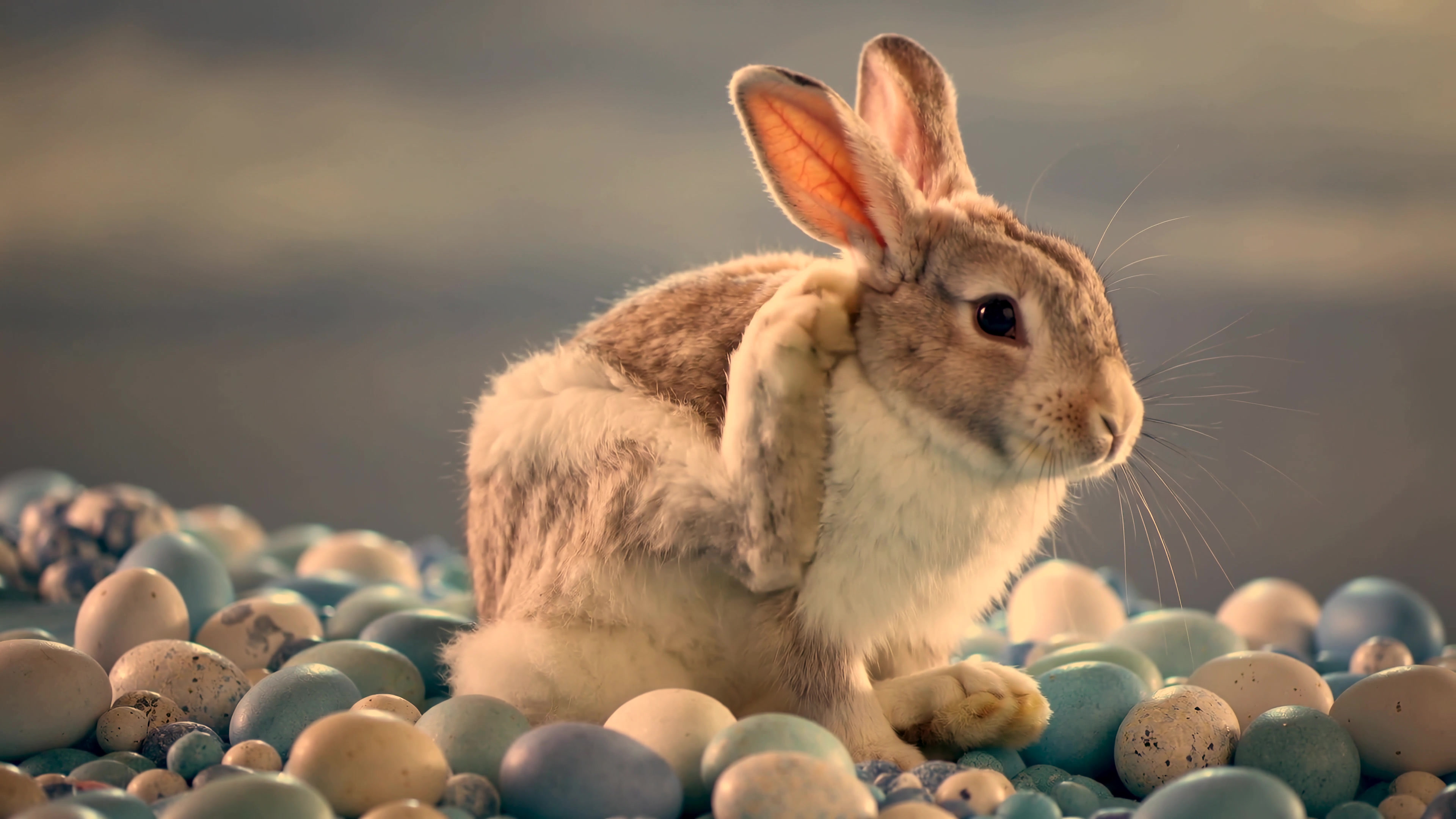Rabbit sitting among colorful eggs in a natural setting during the spring season