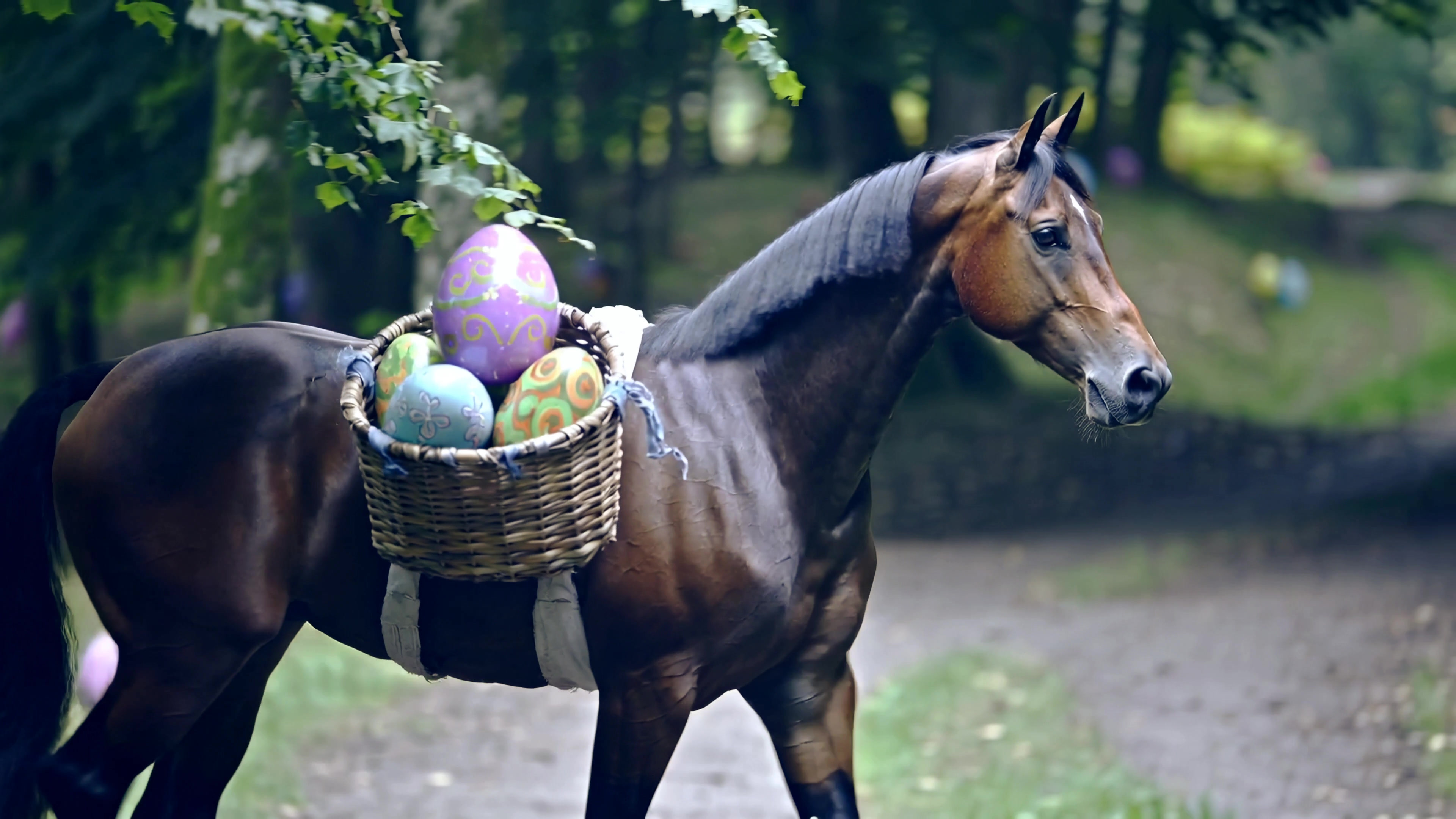 Horse carries a basket of colorful eggs along a wooded path during an activity in springtime