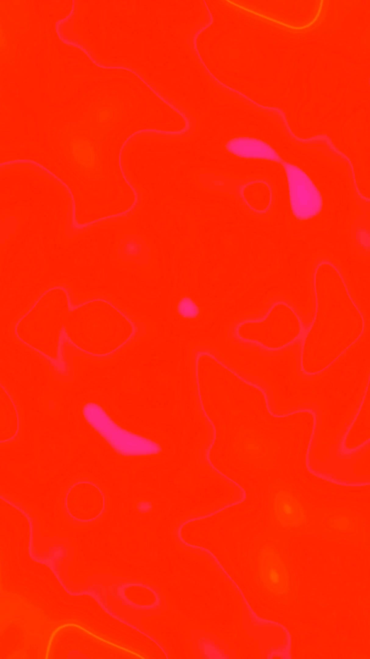 Colorful tunnel video vj loop creates vibrant visual experience for screensavers