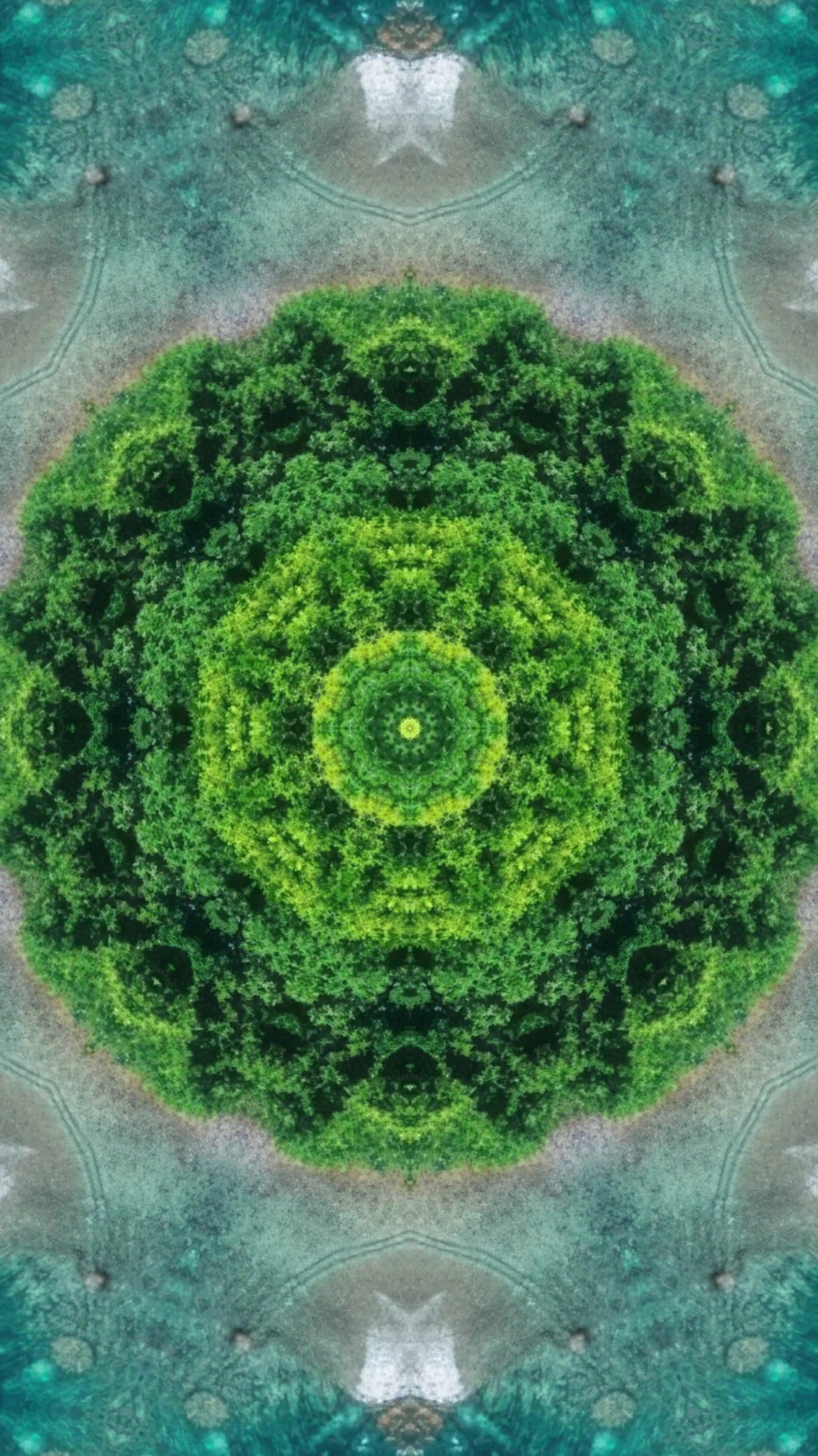 Endless tunnel loop with vibrant green patterns for mesmerizing visual experience