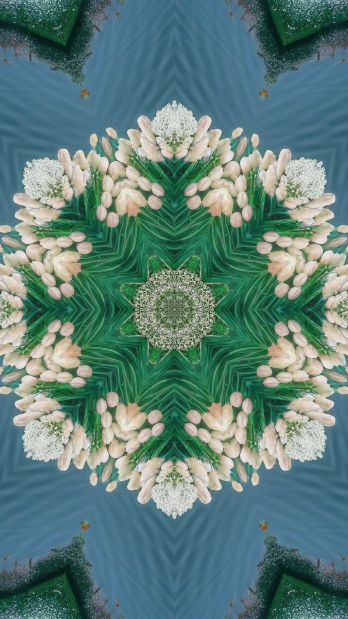 Colorful kaleidoscope design featuring white tulips and green foliage in a seamless loop creating a mesmerizing visual experience